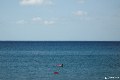 Mallorca Meer Ruhe